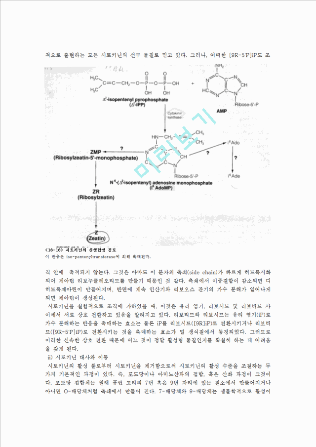 Retardation of Cotyledonary Senescence by Cytokinin   (6 )